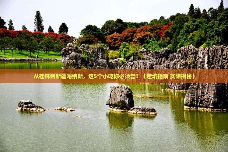桂林去新疆喀纳斯旅游小吃
