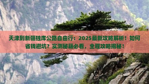 天津到新疆独库公路自由行