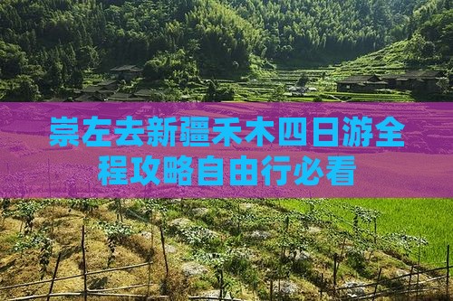 崇左去新疆禾木四日游