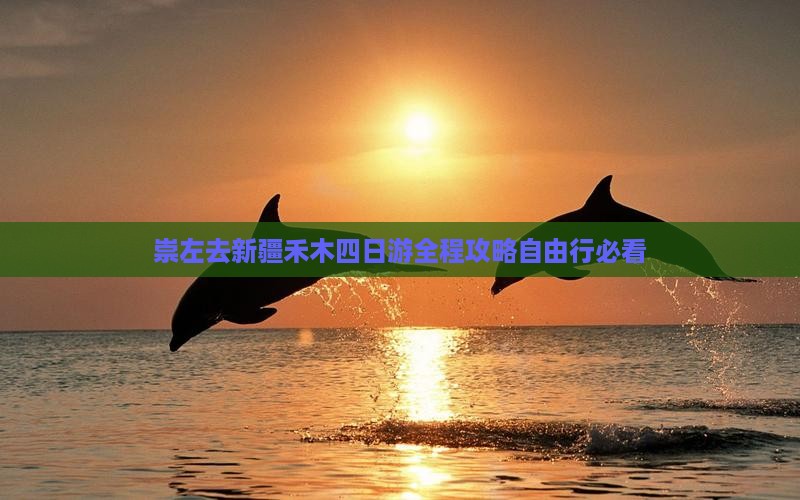 崇左去新疆禾木四日游