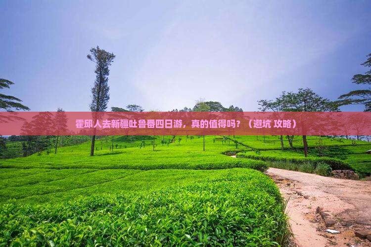 霍邱去新疆吐鲁番四日游