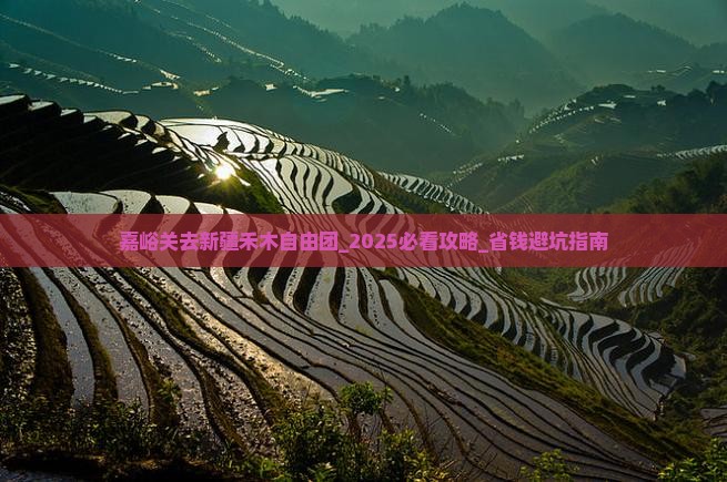 嘉峪关去新疆禾木自由团