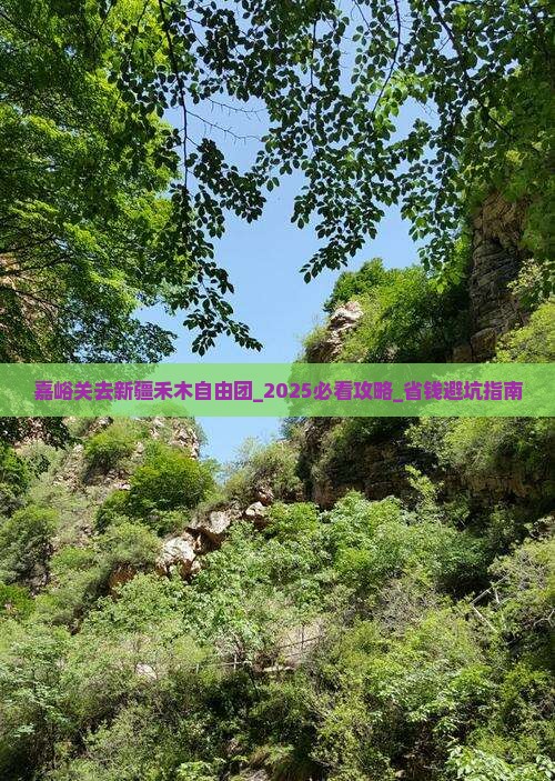 嘉峪关去新疆禾木自由团