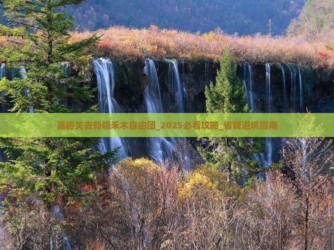 嘉峪关去新疆禾木自由团