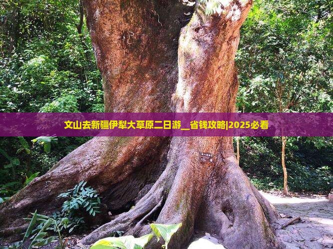 文山去新疆伊犁大草原二日游