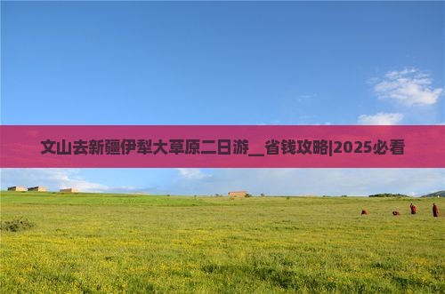 文山去新疆伊犁大草原二日游