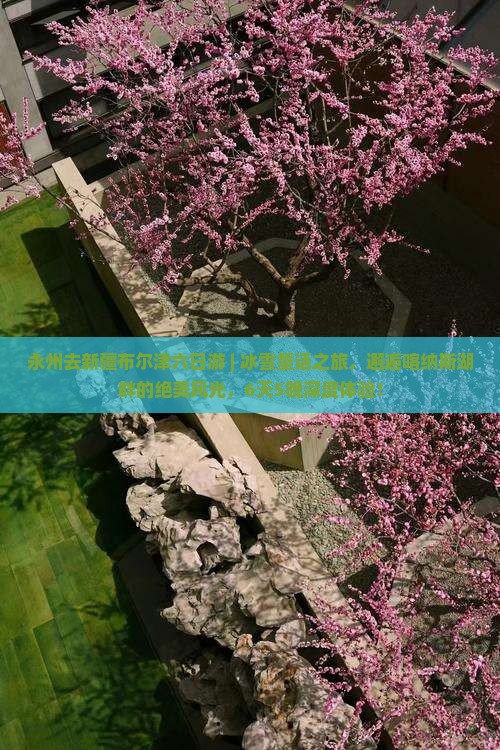 永州去新疆布尔津六日游