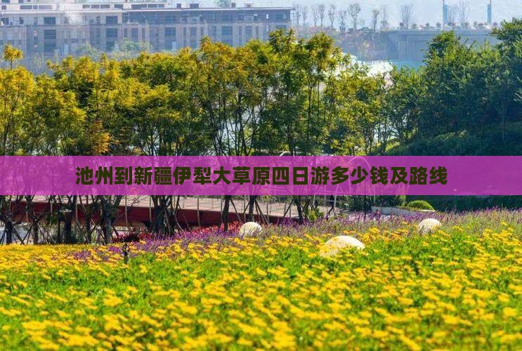 池州到新疆伊犁大草原四日游
