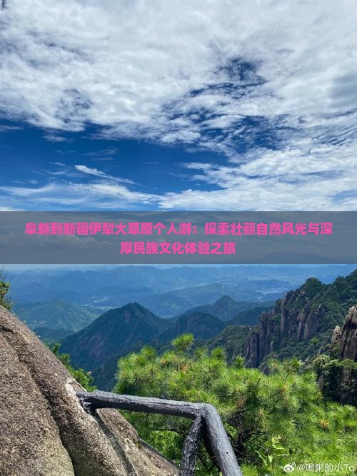 阜新到新疆伊犁大草原个人游