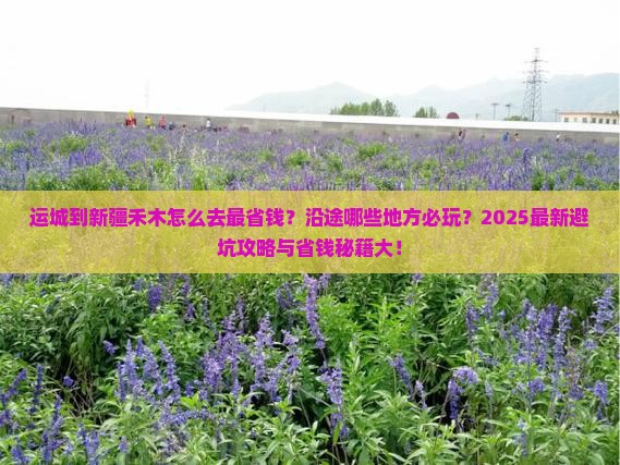 运城到新疆禾木哪里玩