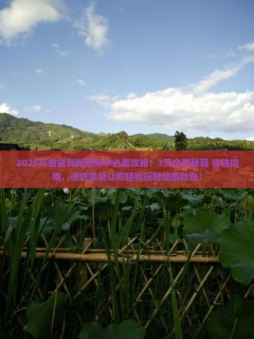曲靖到新疆禾木攻略
