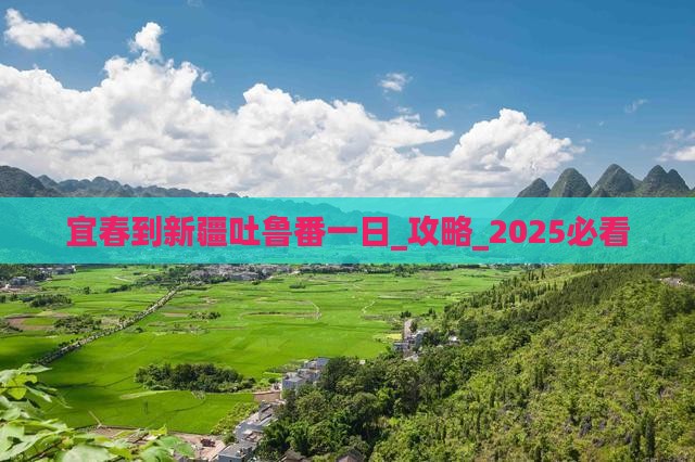 宜春到新疆吐鲁番一日