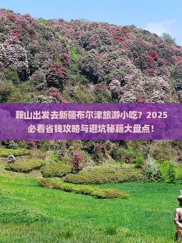 鞍山去新疆布尔津旅游小吃