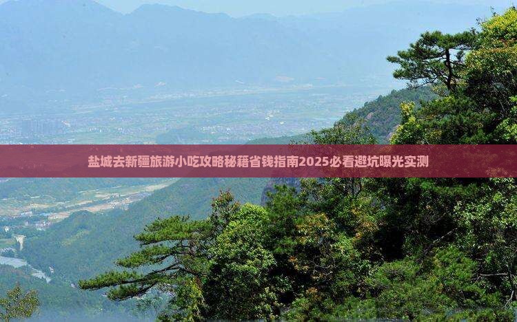 盐城去新疆旅游小吃