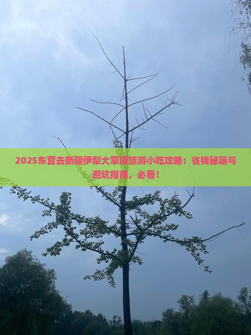 东营去新疆伊犁大草原旅游小吃
