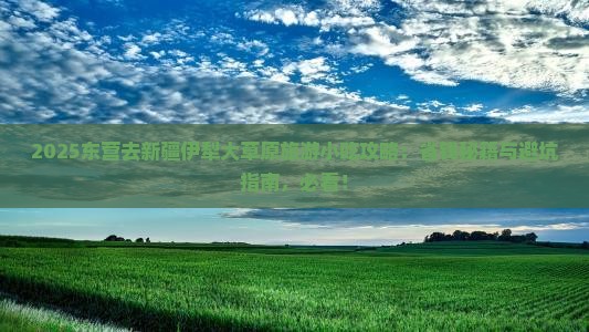 东营去新疆伊犁大草原旅游小吃