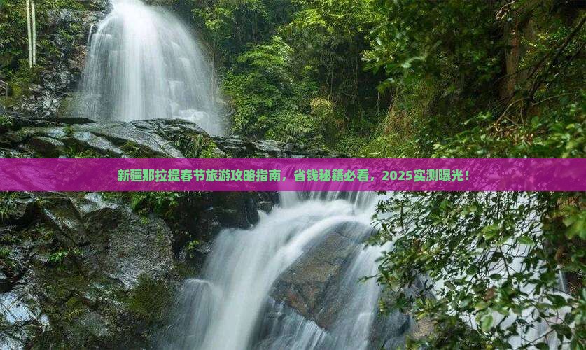 春节到新疆那拉提五日游