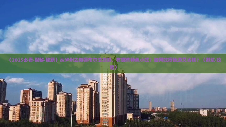 泸州到新疆布尔津旅游小吃