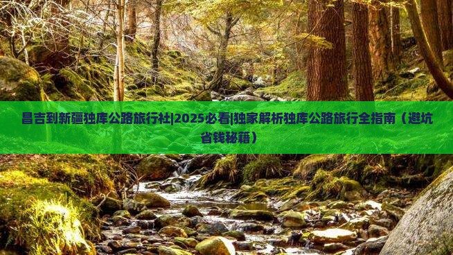 昌吉到新疆独库公路旅行社