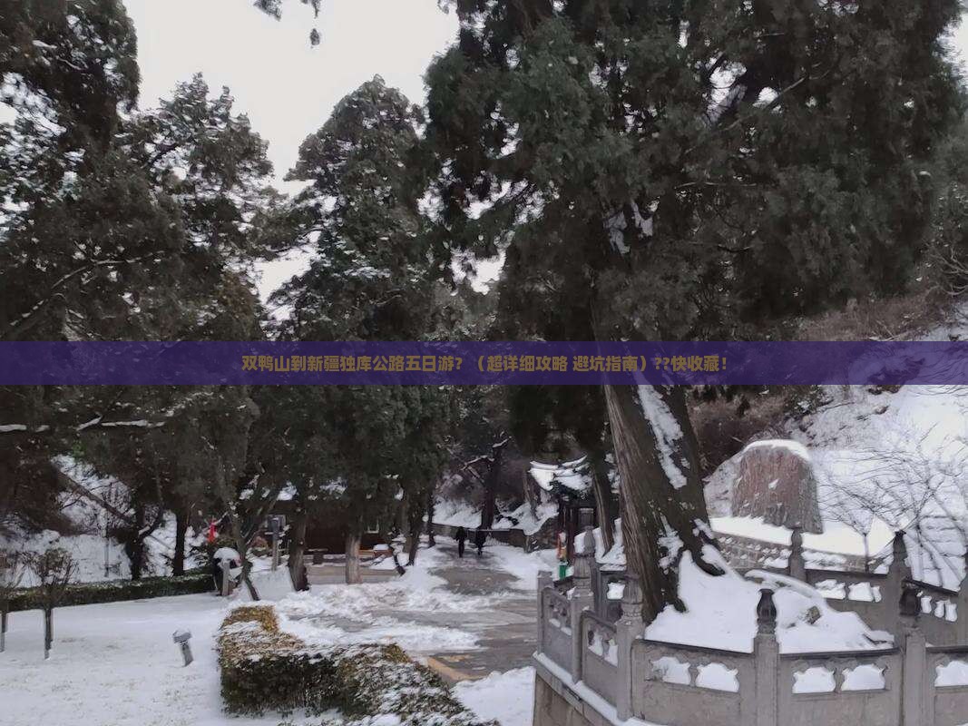 双鸭山去新疆独库公路五日游