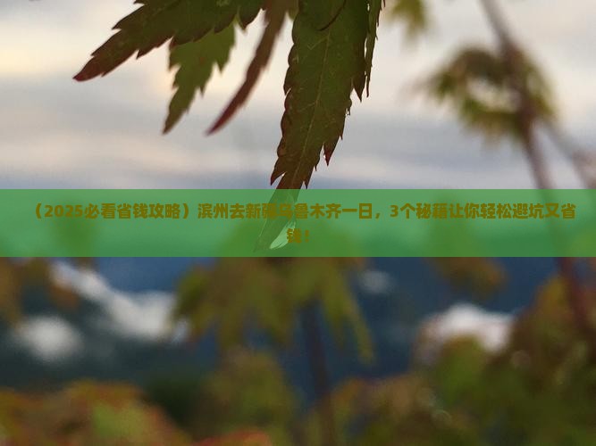 滨州去新疆乌鲁木齐一日