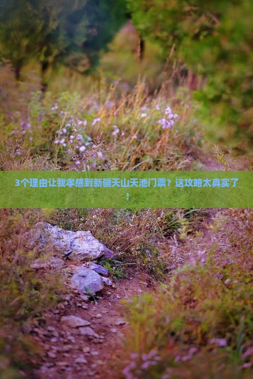 孝感到新疆天山天池门票