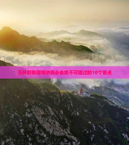 玉林到新疆喀纳斯必去地