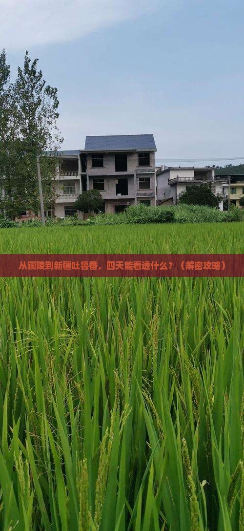 铜陵到新疆吐鲁番四日游