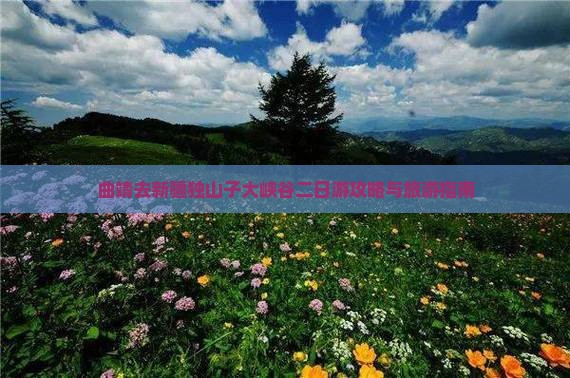 曲靖去新疆独山子大峡谷二日游