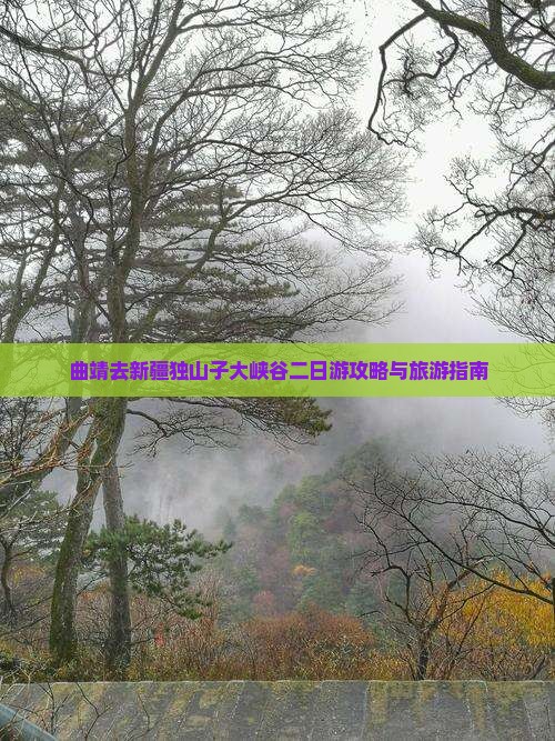 曲靖去新疆独山子大峡谷二日游