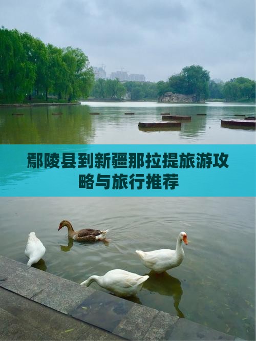鄢陵县到新疆那拉提旅行社