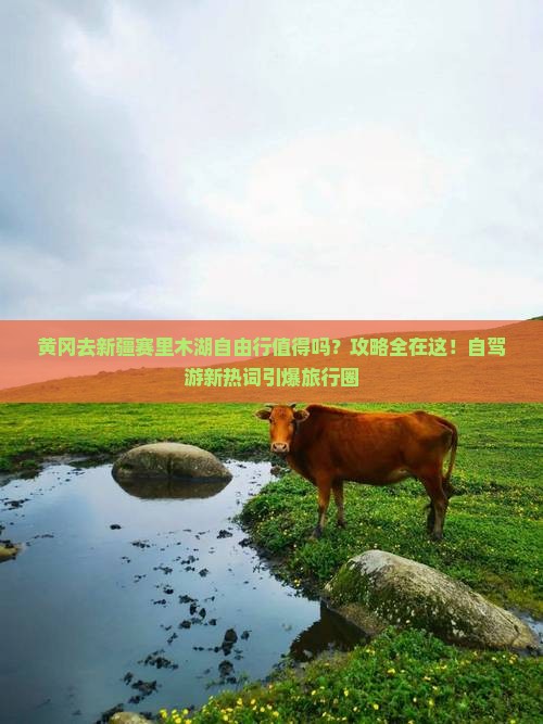 黄冈去新疆赛里木湖自由行