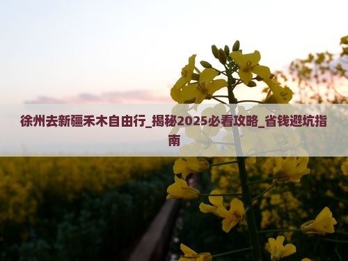 徐州去新疆禾木自由行