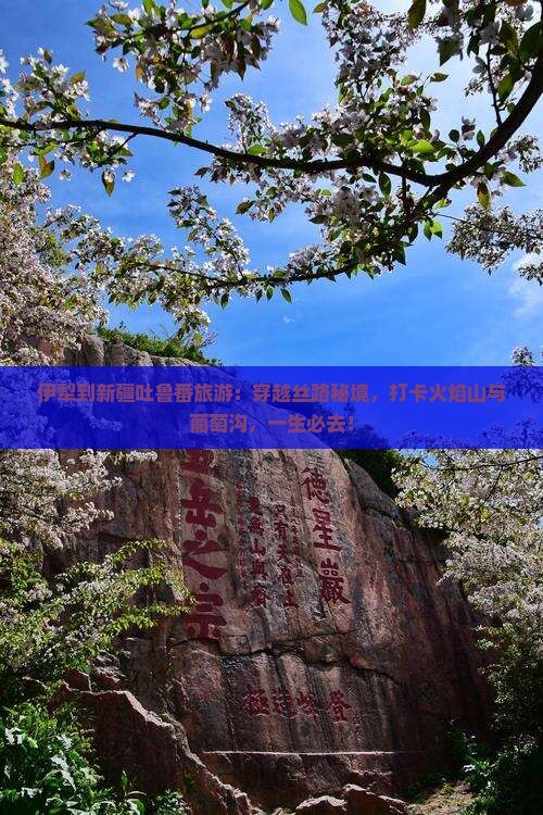 伊犁到新疆吐鲁番旅游