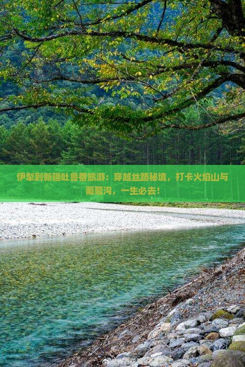 伊犁到新疆吐鲁番旅游