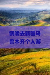 铜陵去新疆乌鲁木齐个人游