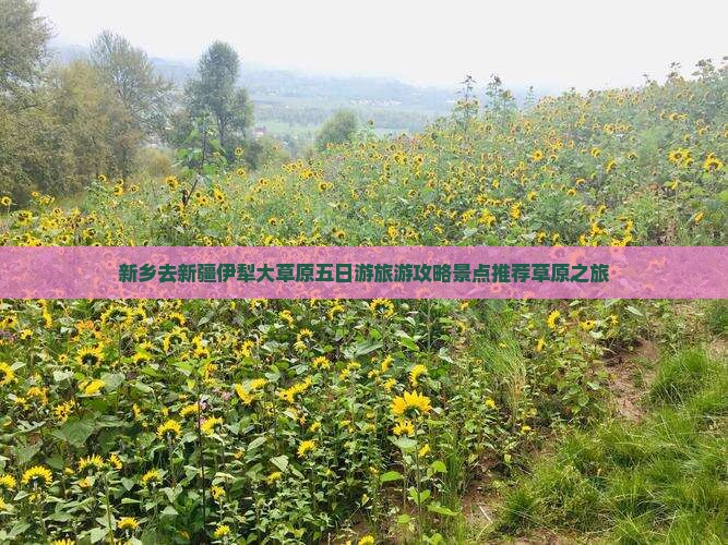 新乡去新疆伊犁大草原五日游