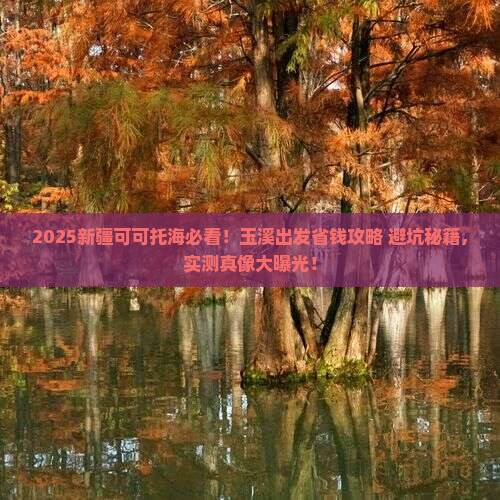 玉溪到新疆可可托海攻略