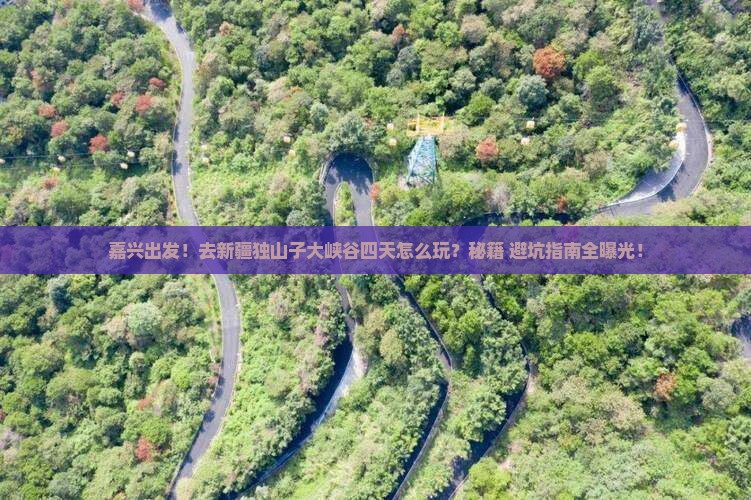 嘉兴去新疆独山子大峡谷四日游
