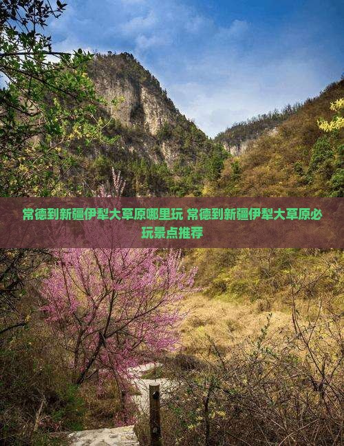 常德到新疆伊犁大草原哪里玩