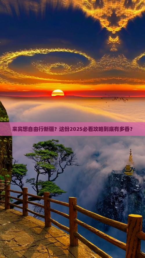 来宾到新疆自由团