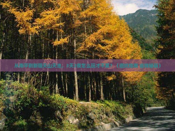 南平到新疆天山天池旅游