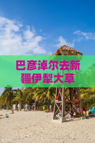 巴彦淖尔去新疆伊犁大草原四日游