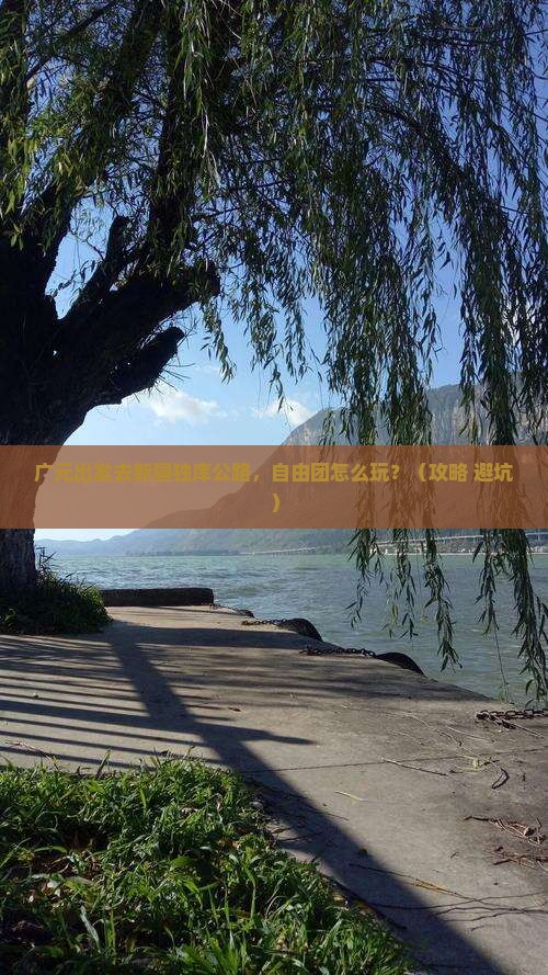 广元到新疆独库公路自由团