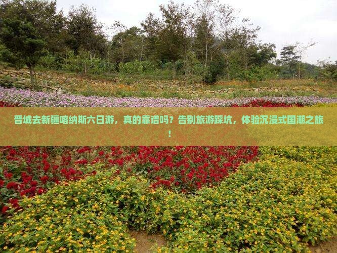 晋城去新疆喀纳斯六日游