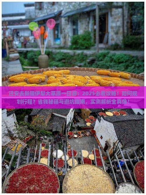 迁安去新疆伊犁大草原一日