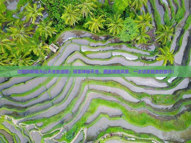 沈阳到新疆天山天池自由团