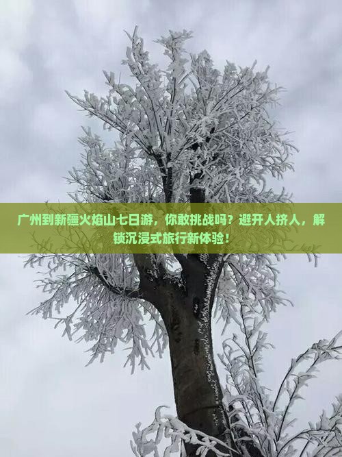 广州到新疆火焰山七日游