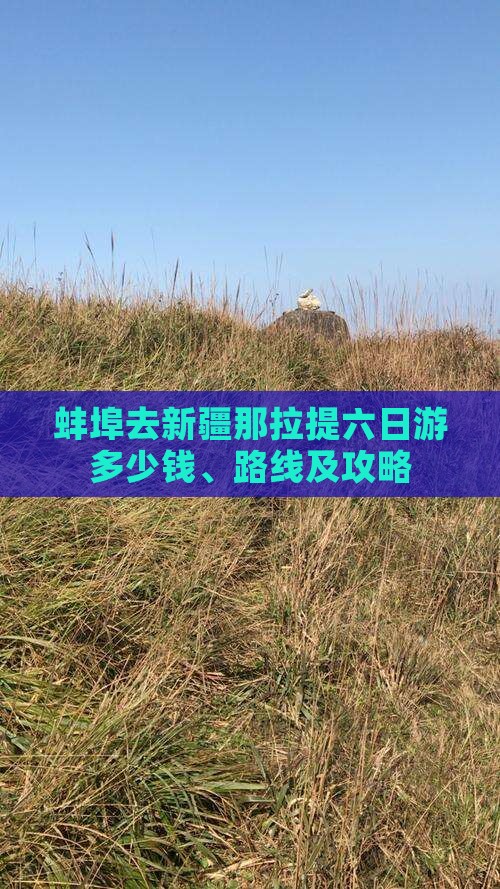蚌埠去新疆那拉提六日游