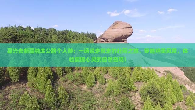 嘉兴去新疆独库公路个人游